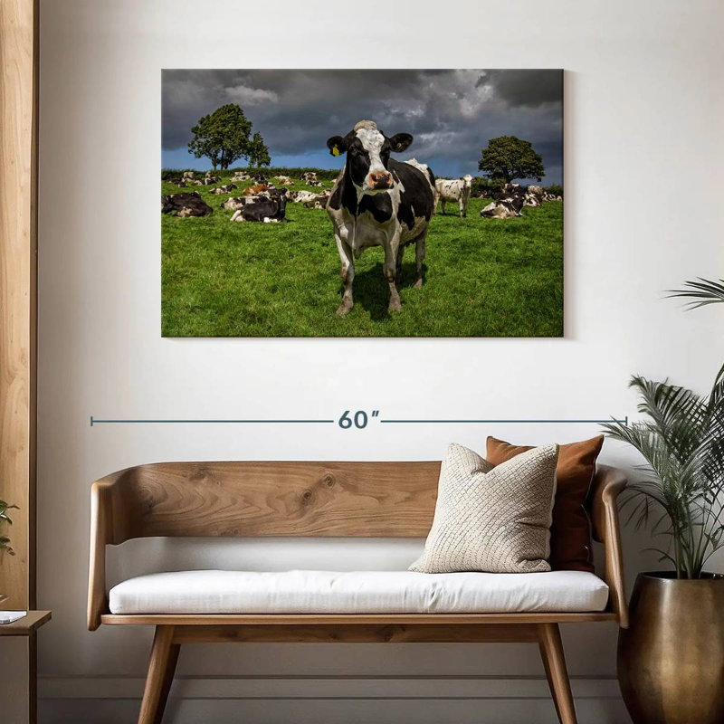 Brampt Holstein Cow, 30" H x 45" W