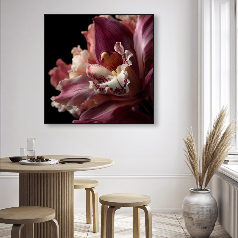 Velvet Labellum Print by Oliver Gal, 41"H x 41"W, Black Floater Frame