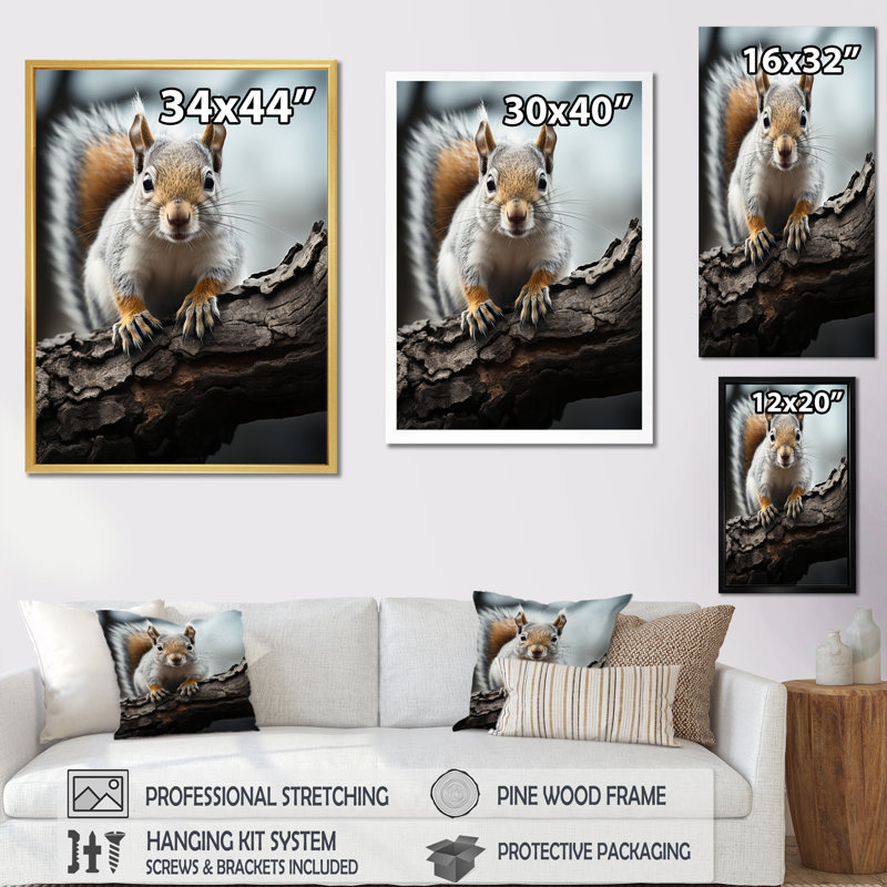 «Armonni Beige Brown Animal Squirrel», reproduction sur toile, Toile encadrée noire simple, H 20 po x l 12 po x P 1 po