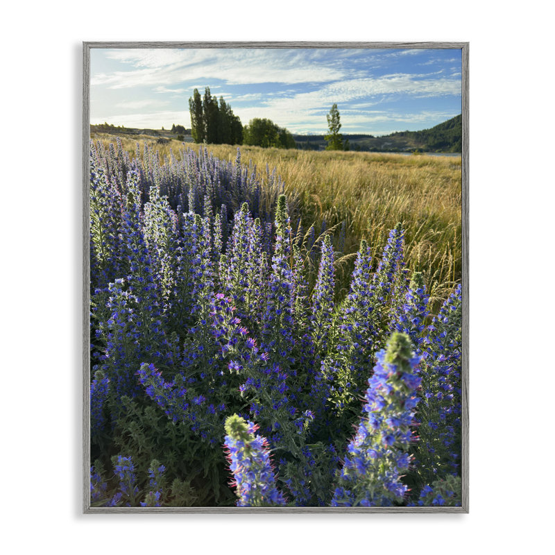 Art de giclée de champs de lavande par Kali Wilson, Estampe numérique Farmhouse, H 20 po x l 16 po