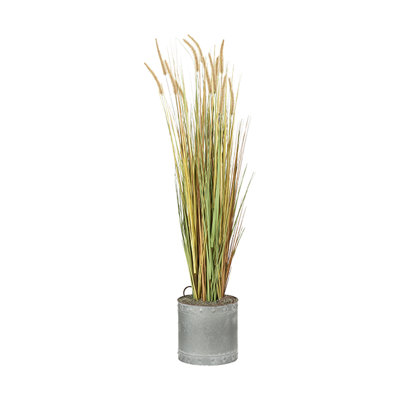 Herbe à oignon 5,5 'en pot galvanisé