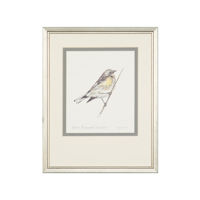 Yellow-Rumped Warbler Print by Daughdrill