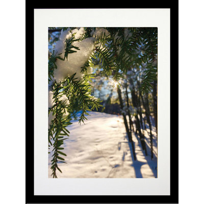 Couverture hivernale - photographie