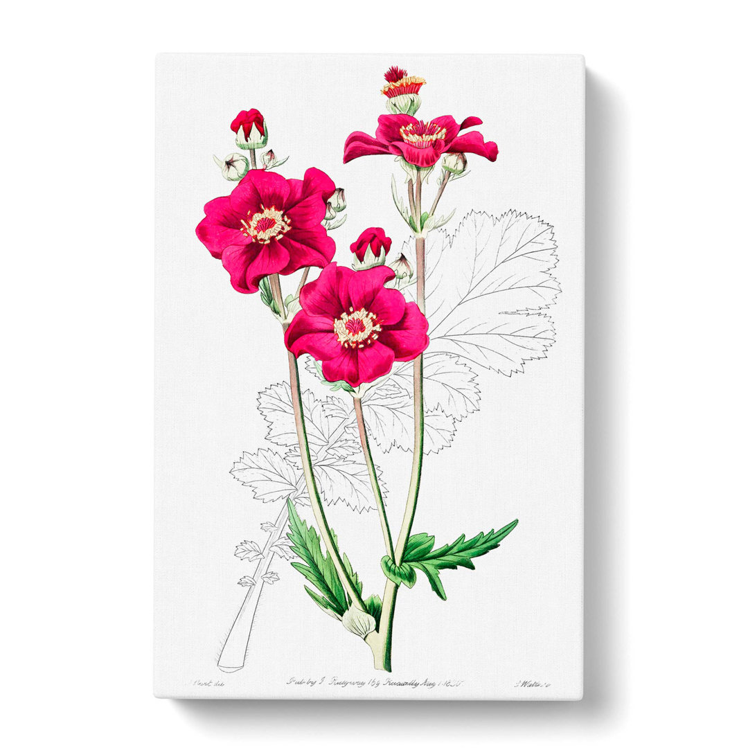 Pink Grecian Rose Flowers - Wrapped Canvas Painting Print