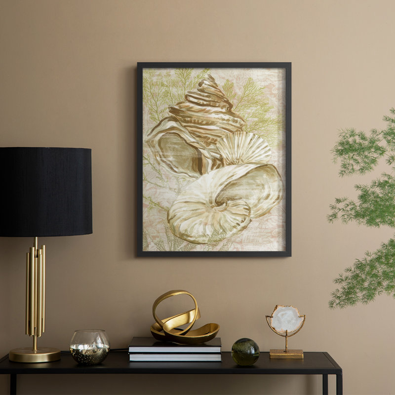 «Antique Peach Shell Collage I», reproduction encadrée - bois massif, H 30 po x l 24 po, Noir