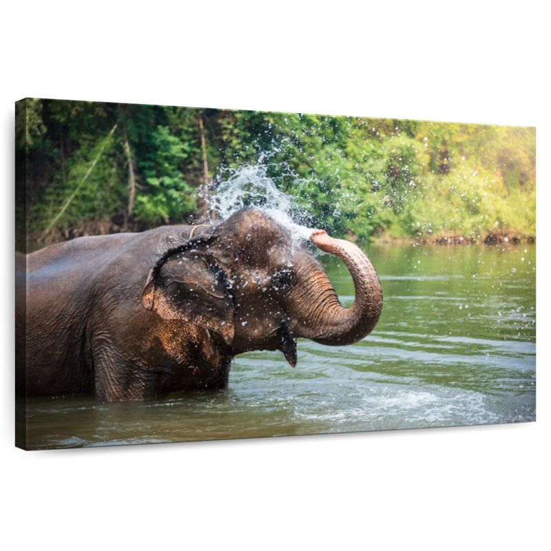 Elephant Throws Water, 20" H x 30" W