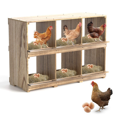 Effrem Chicken Nesting Boxes, Compartment Nest Box Wall Mount for Chickens, Easy Egg Collection
