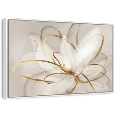 Transparent Beauty
