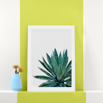 Agave Cactus - Print