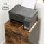 Franny 42cm Wide 2 -Drawer Mobile File Cabinet-1881277764