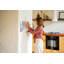 Magnetic Glass Dry Erase Board