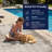 Lolley Abstract Flatweave Sand Ivory Indoor Outdoor Area Rug-1335994901