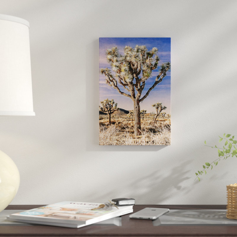 «Joshua Tree Views IV», impression sur toile, H 12 po x l 8 po x P 0,75 po, Pas de tapis, Toile tendue