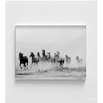 Wild Running Horses, Black & White
