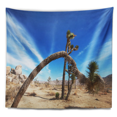 Paysage avec arbre Joshua