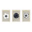 Flowers Set Of 3 Print by Michela Sorrentino-1727089950-1727089948
