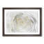 Crisp White Rose in Abstract - Picture Frame Graphic Art Print-55682827-55682823