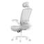 Chaises de bureau