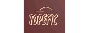 Logo TOPEFIC