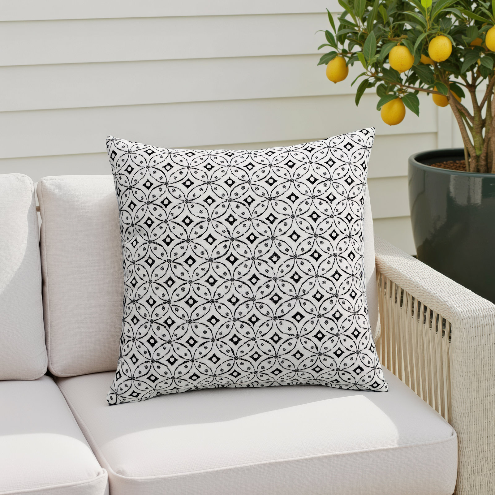 Esmeray Textured Throw Pillow, 20" x 20"