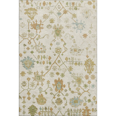 Premium Machine Washable Alaina AMF1930 Global Rug