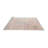 Caudilla Oriental Indoor Rug-1348058842