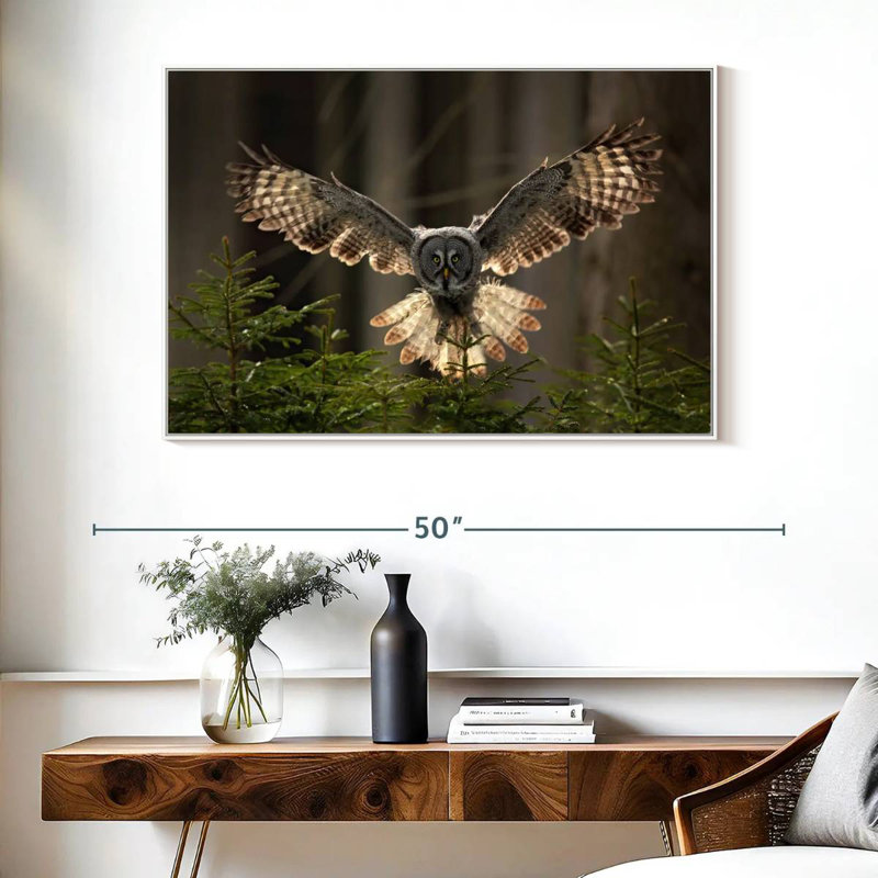 Hibou volant, Cadre flottant blanc, 40 po x 27 po