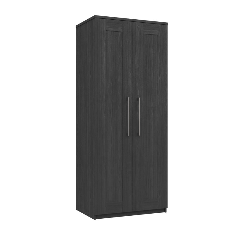 Alishma 2 Door Manufactured Wood Wardrobe, Graphite