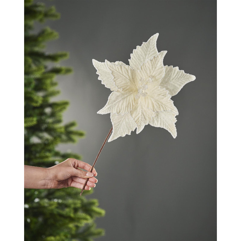 Arrangement, Ivory