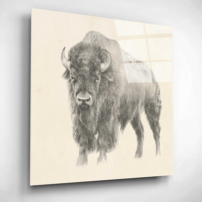 «Western Bison Study» par Ethan Harper