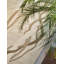 Lianes Area Rug in Natural/Brown-75033773