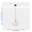 Brnovich 1 - Light Copper Single Pendant