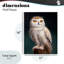 Plaque murale «Snowy Owl King» par Lucia Heffernan