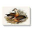 Whistling Ducks by Elizabeth Gould - Wrapped Canvas-55305435