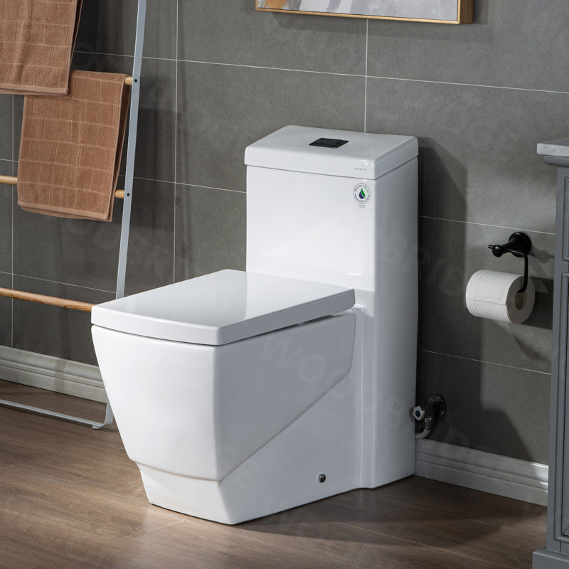 Dual-Flush Elongated One-Piece Toilet, Matte Black