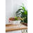 11.5X4x7" White Metal Decorative Disressed Wheelbarrow Planter, Tabletop Decor