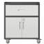 Armoire à outils roulante pour garage en métal - l 30,26 po x P 17 po, H 35,13 po, 1 tiroir, 2 portes verrouillables, unité de rangement noire et grise avec roues