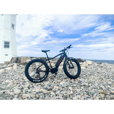 Rogue Wave -- Mountain Ebike
