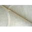 Shell Hand Tufted New Zealand Wool Green/Ivory Area Rug-1540629486