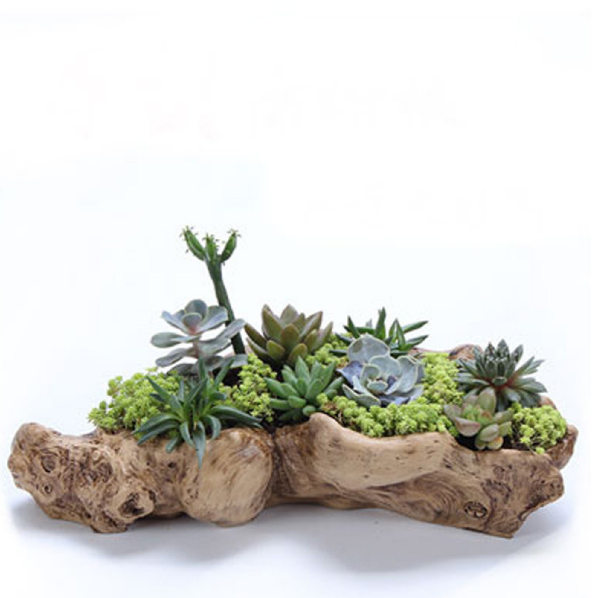 Winston Porter Resin Trunk Planter | Wayfair