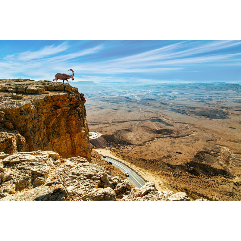 Sinai Ibex on a Steep Cliff par Kavram - Photographie sur toile tendue, L 12 po x H 8 po