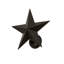 Texas Star 1 - Light Armed Sconce