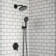 Raindance S Powder Rain Handheld Shower Head with Select