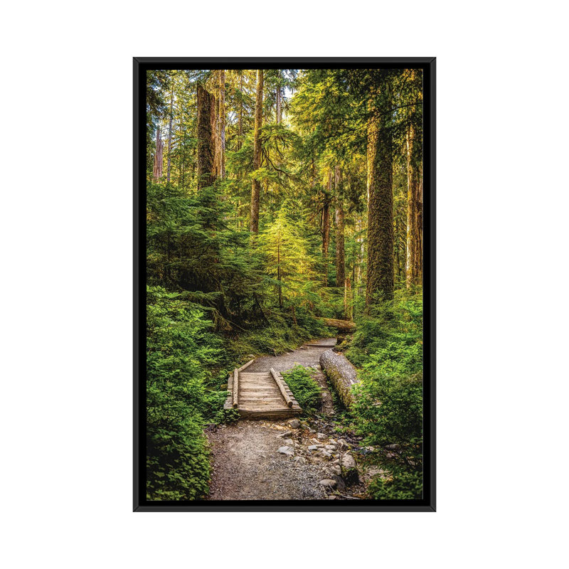 Parc national olympique, randonnée pédestre I, reproduction d'art sur toile encadrée, Noir, H 26 po x l 18 po