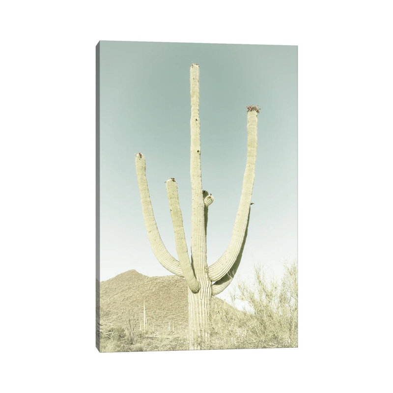 Saguaro National Park Giant Saguaro | Vintage by Melanie Viola - Wrapped Canvas Print, 20.32 cm H x 30.48 cm W