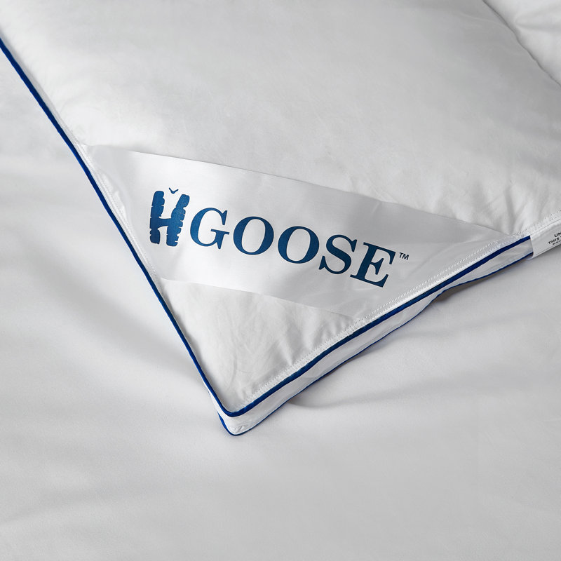 Surmatelas en duvet hongrois 2 po HGOOSE, Grand