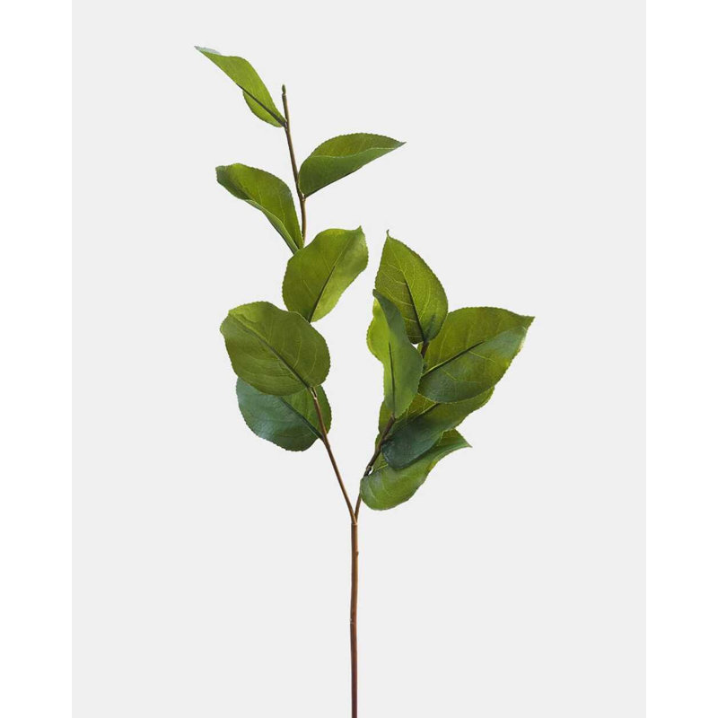 Artificial Salal Leaf Stem 23"