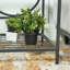 Ezrie Four Leg Coffee Table