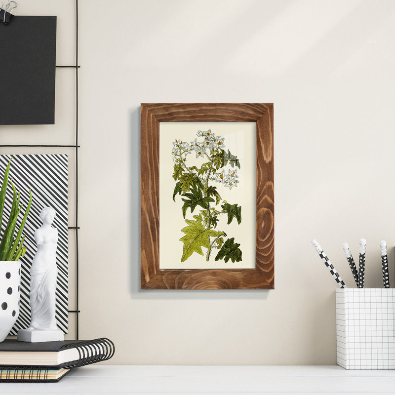 Olive Greenery VI - reproduction d'un seul cadre photo, H 8 po x l 6 po x P 1 po, Noyer