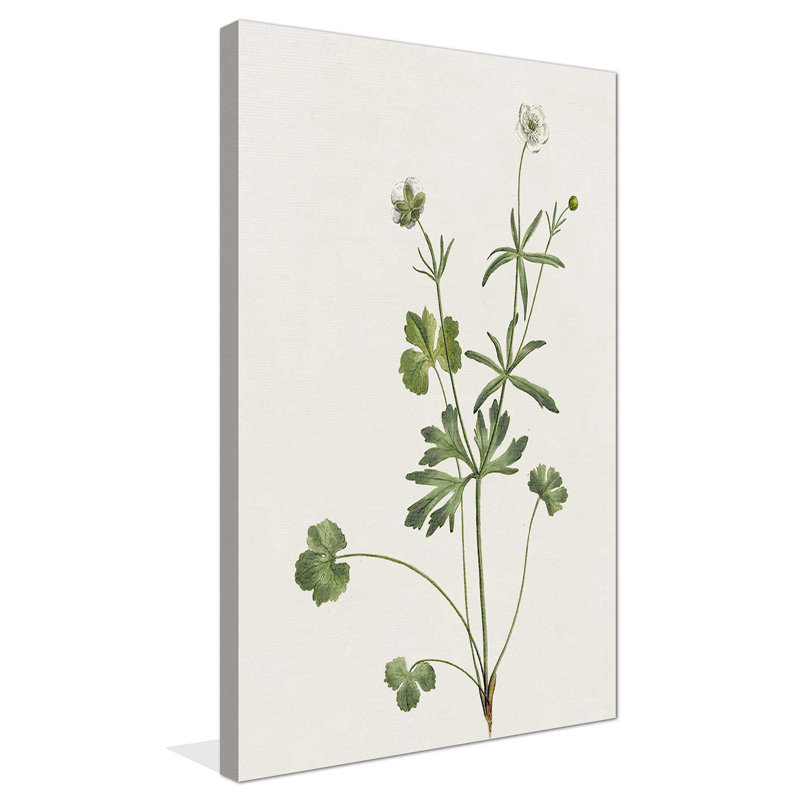 " Wispy Botanical II " Painting Print, 42" W x 72" H, Wrapped Canvas